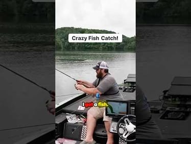 Crazy Catch