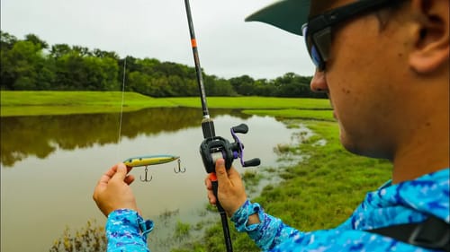 This TINY Pond Has GIANT FISH