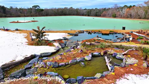 Winter Storm Causes Fish Kill at the 5 Acre Pond