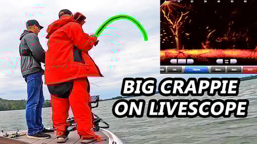 CRAPPIE FISHING With LIVESCOPE!! Tips for Catching Summer Crappie!