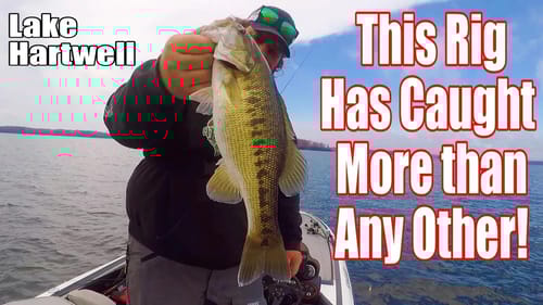 Fishing a Texas Rig For Lake Hartwell Bass
