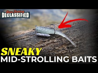 Bass Are Not Seeing These Baits on Your Home Lake