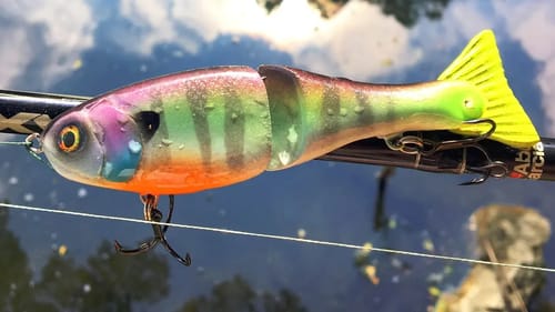 SwimBait | One Day Build to Catch