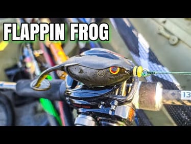 Bass LOVED This Indestructible Frog (*WATCH BEFORE BUYING*)