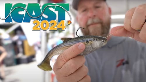 ICAST 2024: New Baits at the Lake