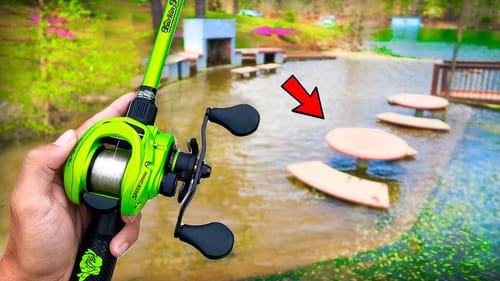 Fishing CRYSTAL Clear Water w/ DaddyVANDAM (Lake Fishing)