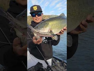 NEW GlideBait, Chapter One