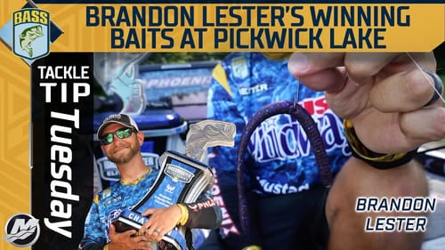 Brandon Lester's key bait to win at Pickwick Lake
