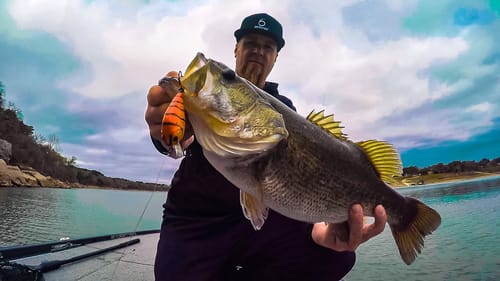 Pre-Spawn Radiation Craw Crush50X Crankbait Fishing NEW WATER, "CHESTER CHEETO" STRIKES AGAIN!