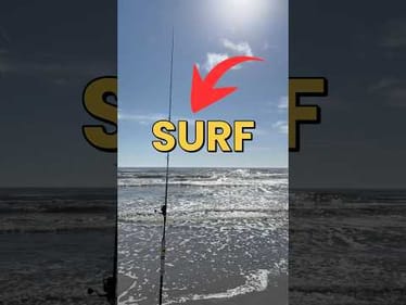 Is CUT MULLET A Good Bait For Surf Fishing? #fishing #fishingvideos