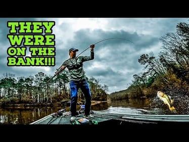 I Couldn't BELIEVE How SHALLOW I Caught These WINTER BASS!!!