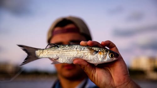 Fishing with my Fiancé (she tried to catch more fish than me!)