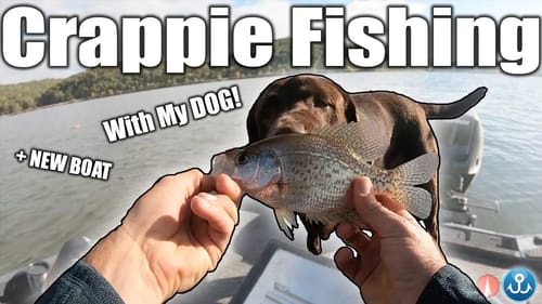 Fishing for Food in my New Boat! (Crappie Catch and Cook)