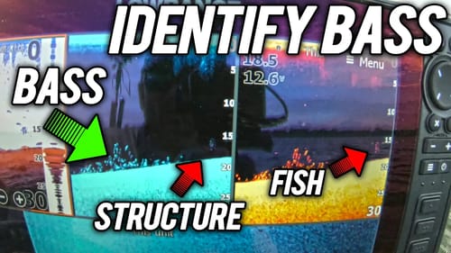 Things NO One Tells you about Catching Bass on Fish Finder (Pro Secrets)