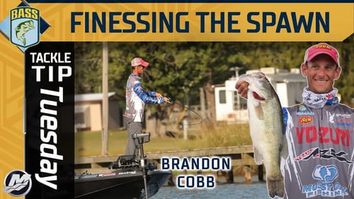 Brandon Cobb's finesse approach to fishing "The SPAWN"