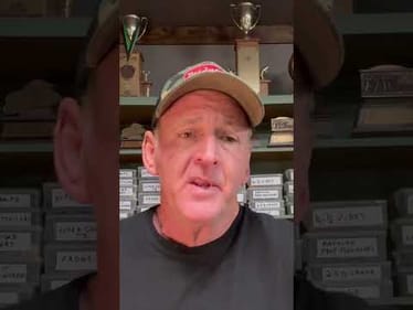 Livescope And Ai Shi#show