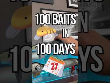 100 Baits In 100 Days - Day 27 DRT Joker Topwater Swimbait  #fishing