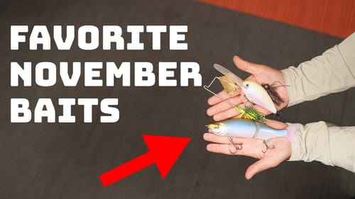 Our Favorite Baits To Catch Fish With In The Month Of November!