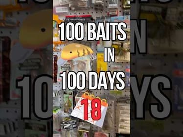 100 Baits In 100 Days - Day 18: Flag 170 Soft Plastic Glide Bait #fishing