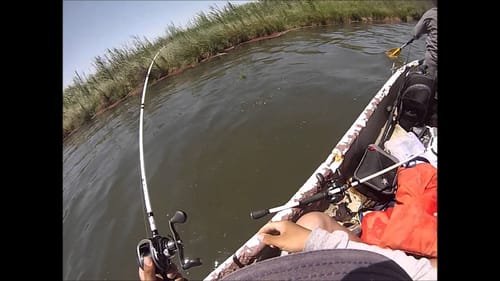 6 Pound Bass Crushes Topwater Frog