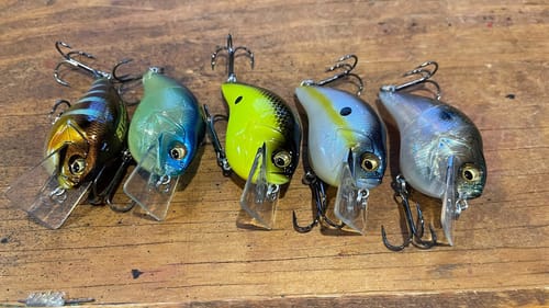 85% Of Anglers Can’t Pick The Correct Crankbait BACK Color…