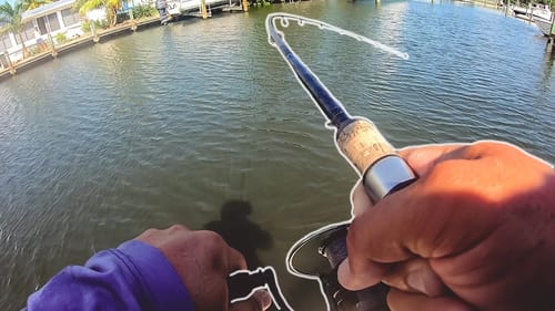 I Can't Believe This Fish Didn't Break me Off