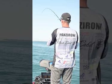 Lost Giant Smallmouth on Detroit River! Day Two MLF Invitationals #short #bassfishing #detroitriver
