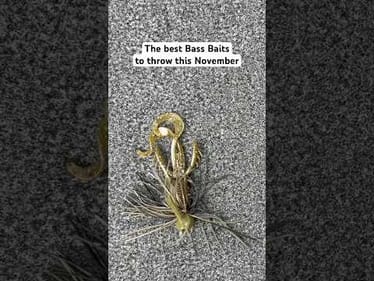 Jacob Wheeler’s TOP November Bass Baits! 🎣