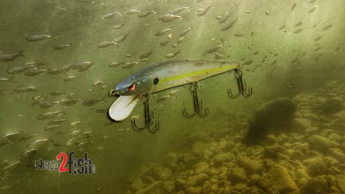 When to Fish Riprap With a Jerkbait