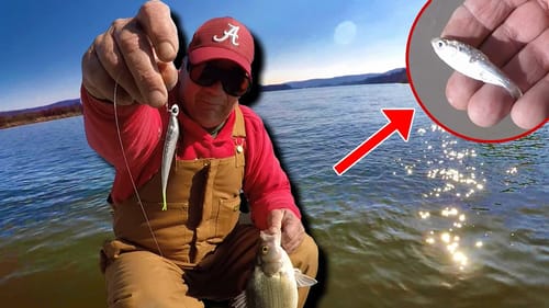 Catch ANYTHING and EVERYTHING With This SIMPLE Fishing Tip!!!