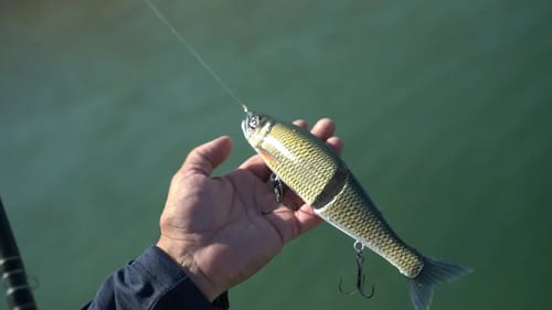 How To Fish The Gan Craft Jointed Claw 230 Glide Bait!