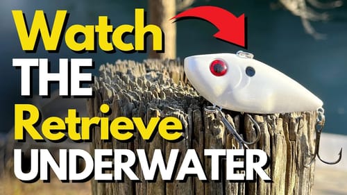 WHERE Lipless Crankbaits Excel | Powerful Retrieve You Can Use!