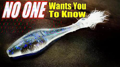 NEW Baits NO ONE is Telling You About - Because they WORK