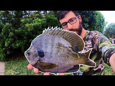 MONSTER BLUEGILL TACTICS FOR SPRING!!