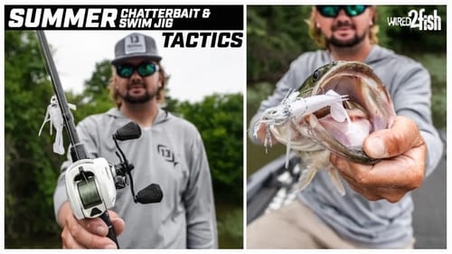 Advanced ChatterBait and Swim Jig Fishing for Summer Bass