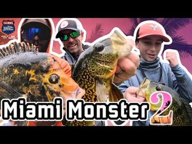 🔥 Monster Mike Miami Madness – Urban Fishing for GIANT Peacock Bass! 🎣  PART 2
