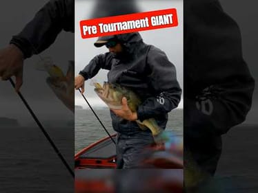 GIANT Bass on a Crankbait the Day before a TOURNAMENT