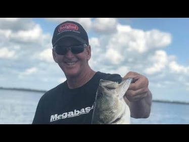 The Summer Transition…Why Most Bass Anglers Fail To Recognize It