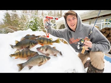 What Taste Better? WHITE Perch VS YELLOW Perch (Catch Clean Cook SHOWDOWN!)