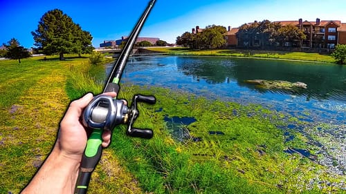 Pond Hopping for Suburban Bass! (My Top 3 FAVORITE Lures for FALL)