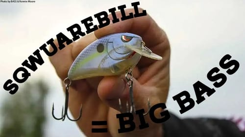Ish Monroe : Squarebill Crankbaits WIN Tournaments