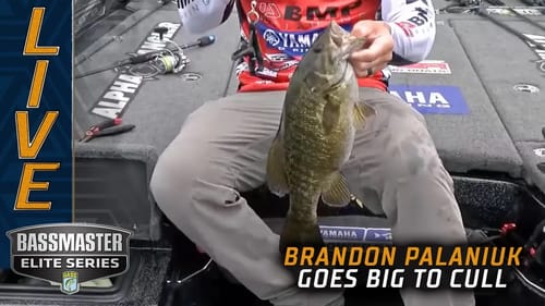 Brandon Palaniuk goes BIG to cull on Champlain