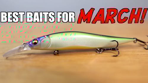 Top 3 BAITS for MARCH Bass Fishing!
