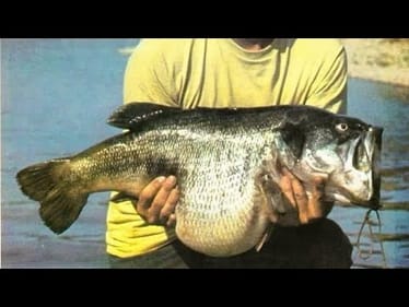 The Next World Record Bass Will Be Caught HERE…