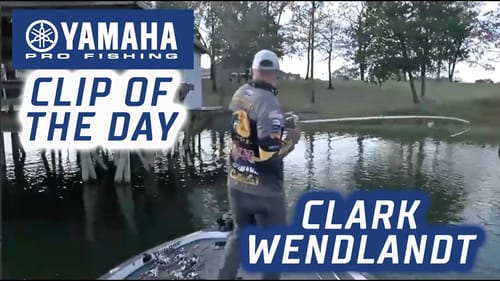 Yamaha Clip of the Day: Wendlandt's AOY winning fish