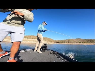 Topwater Mayhem at Takeoff – Roosevelt Lake