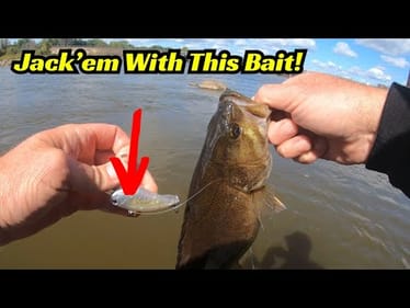 You Don’t Know JACK About This Fishing Lure!
