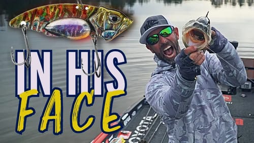 Ike's Winter Bass Fishing Secret Tips [Bassmaster Iaconelli's Top 3 Metal Baits for Cold Water]