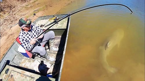 The STRANGEST BAIT catches MASSIVE RIVER FISH!! (INTENSE)