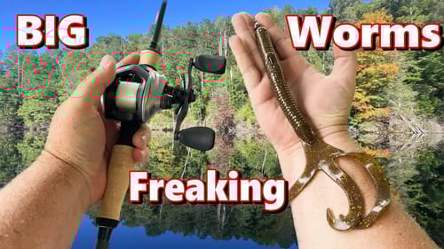 Don't Be Afraid Of Big Freaking Worms The Bass Aren't